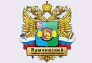 Пушкинский городской суд Московской области